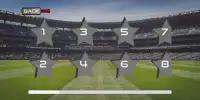 IPL 2020 Game - World Cup T20 Cricket Game Super Screen Shot 4