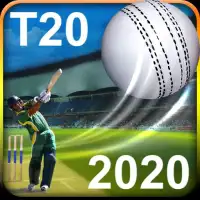T20 Cricket Games 2020: T20 World Cup Live Game 3D Screen Shot 1