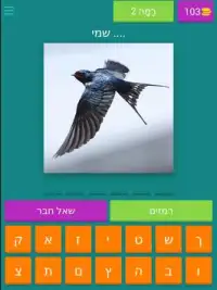 חידון הציפורים Screen Shot 7