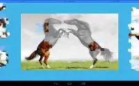 Horses Puzzle Screen Shot 7