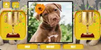 Dogs & puppies jigsaw puzzles Screen Shot 5