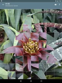 Jigsaw Puzzle: Flowers Screen Shot 20