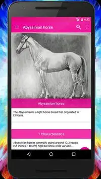 The Horses Quiz   Guide. Screen Shot 4