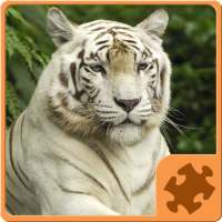 Animals Puzzle - Jungle
