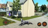 Simulateur de chien Dogue Allemand Screen Shot 5