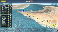 Pro Flight Simulator - Dubai Screen Shot 12