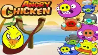 Angry Chicken Knock Down - Knockdown Angry Pigs Screen Shot 0
