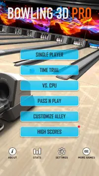Bowling 3D Pro Screen Shot 3