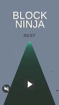 Block Ninja Screen Shot 0