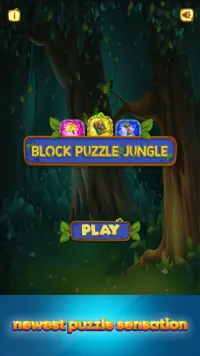 Block Puzzle Jungle Edition Screen Shot 0