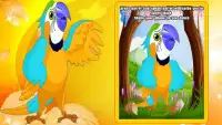 Talking Dancing Parrot Screen Shot 1