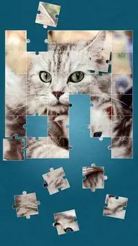 Chats Mignons Jeux De Puzzle Screen Shot 14