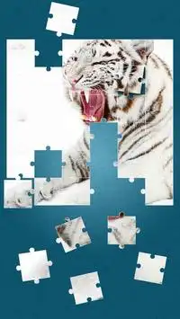 Tigers Jigsaw Puzzle Screen Shot 4