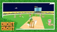 Cricket Cricket Screen Shot 4
