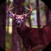 Sniper Deer Hunt