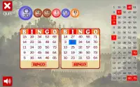 Bingo Kingdom Screen Shot 2