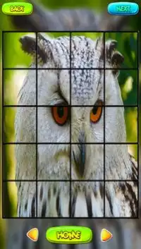 Owl Puzzle Games Screen Shot 2