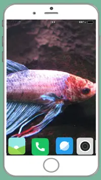 Fish Full HD Wallpaper Screen Shot 2