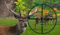 Sniper Deer Hunting 2015 Screen Shot 0