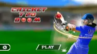 Cricket T20 Boom Screen Shot 2