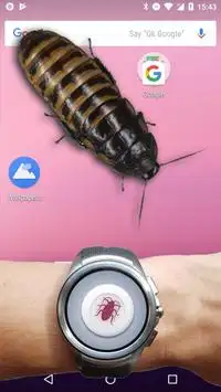 Cucaracha en Teléfono de broma Screen Shot 5