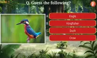 Birds Quiz Screen Shot 2