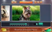 Cats and Dogs Jigsaw Puzzles Screen Shot 4