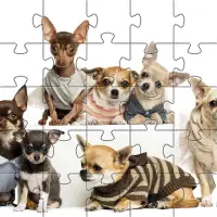 Chihuahua-Hundepuzzle-Spiele Screen Shot 3