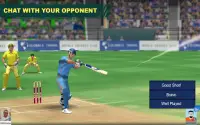 Cricket Lite 3D: World Cricket Bash Screen Shot 2
