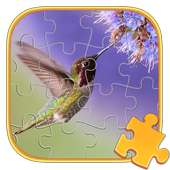 Jigsaw Puzzles Birds Games