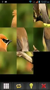 Birds Puzzle Screen Shot 2
