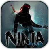 Ninja Night