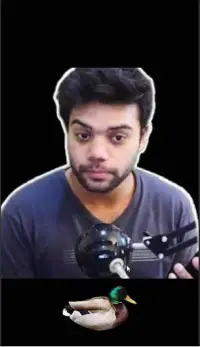 DuckyDuck - Ducky Bhai In Game Screen Shot 2