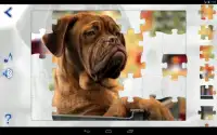 Jigsaw Puzzles Dogs Screen Shot 5