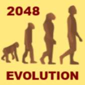 2048 Evolution