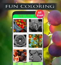 Fruit  Coloring Number Pixel New 2021 Screen Shot 5