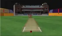असली क्रिकेट रन आउट चैंपियनशिप Screen Shot 4