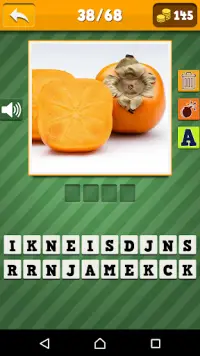 Fruits Quiz - deviner et apprendre Screen Shot 6