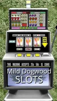 Mild Dogwood Slots - Free Screen Shot 0