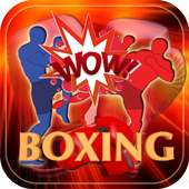 Boxing Fight Match