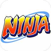 Ninja: Hero of the Village