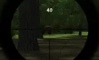Forest Sniper Adventure Hunt Screen Shot 7