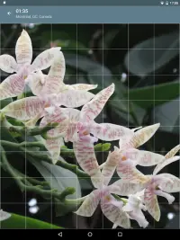 Jigsaw Puzzle: Flowers Screen Shot 23