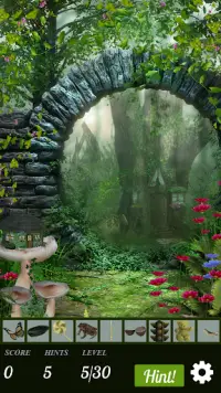 Hidden Object - Fairywood Thicket Screen Shot 4