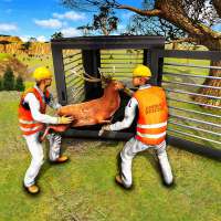 Injured Animal Jungle Rescue: 3d Shooting Games