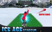 MSD: World Cricket Bash Screen Shot 6