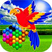 Parrot Hexagon Puzzle Game
