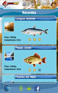 Pesca de Bolso Screen Shot 15