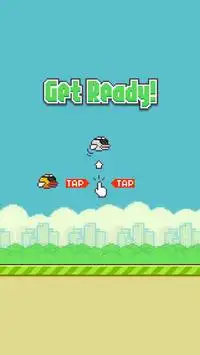 Flappy Bird Screen Shot 0