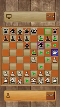 Chess Game : Shatranj Game Screen Shot 4